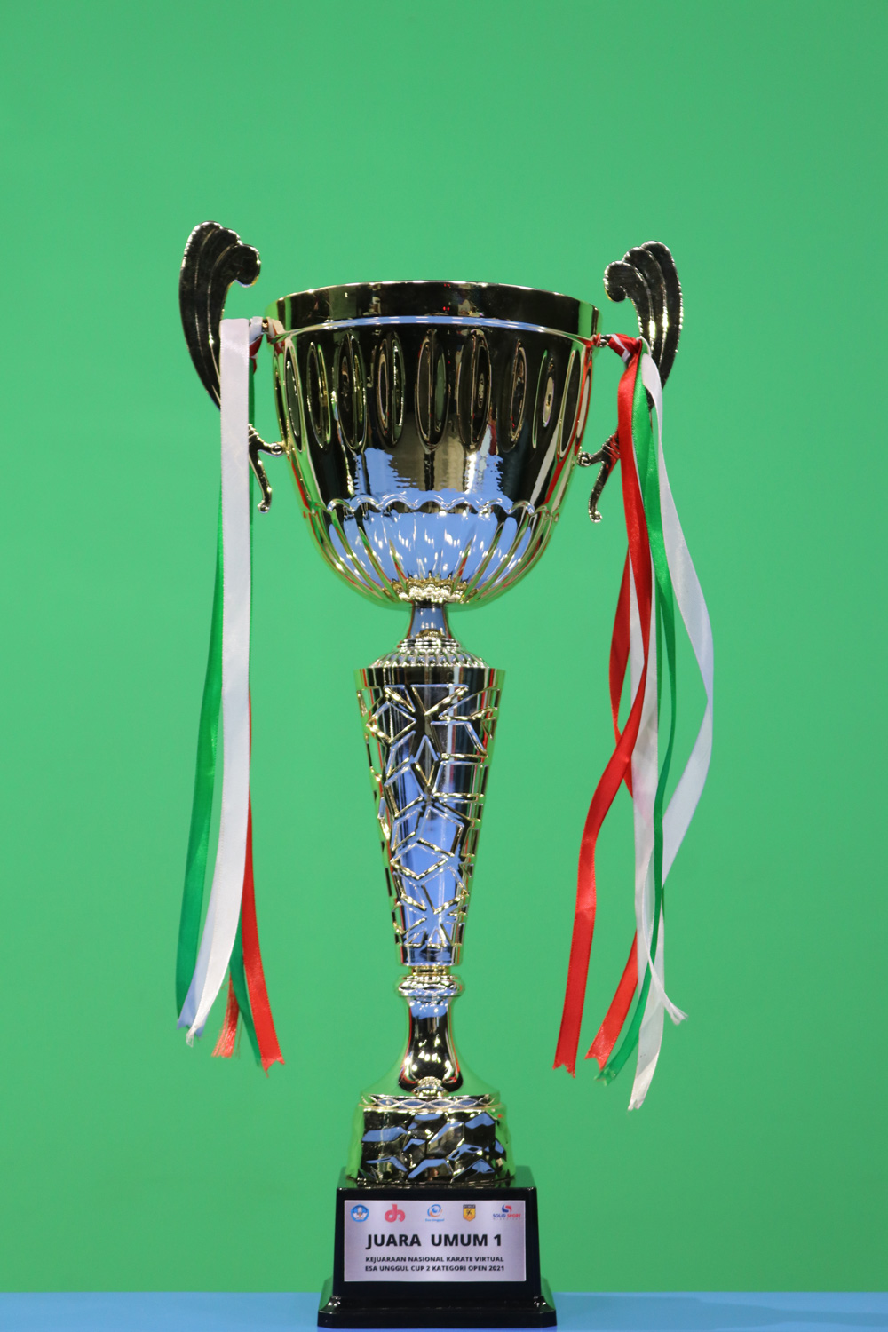 Juara Umum 1 Kejuaraan Nasional Karate Virtual Esa Unggul Cup 2 Kategori Open 2021